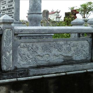 Mẫu 5